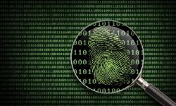 Featured image of post Forensic